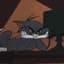 user-image-url