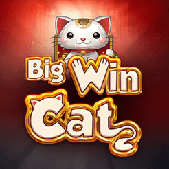 Big Win Cat