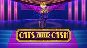 Cats and Cash