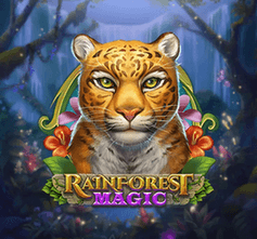 Rainforest Magic