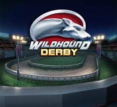 Wildhound Derby
