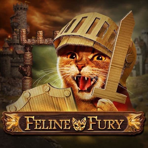 Feline Fury