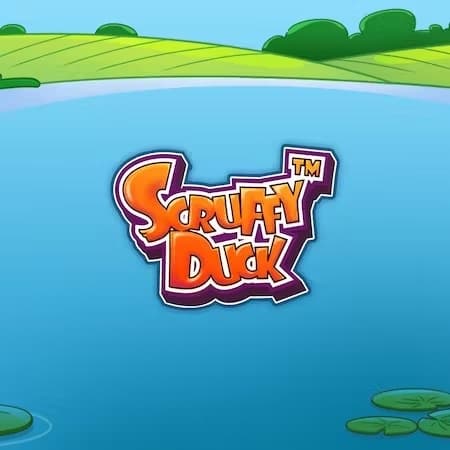 Scruffy Duck