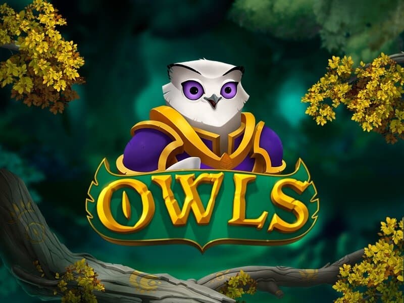 Owls 