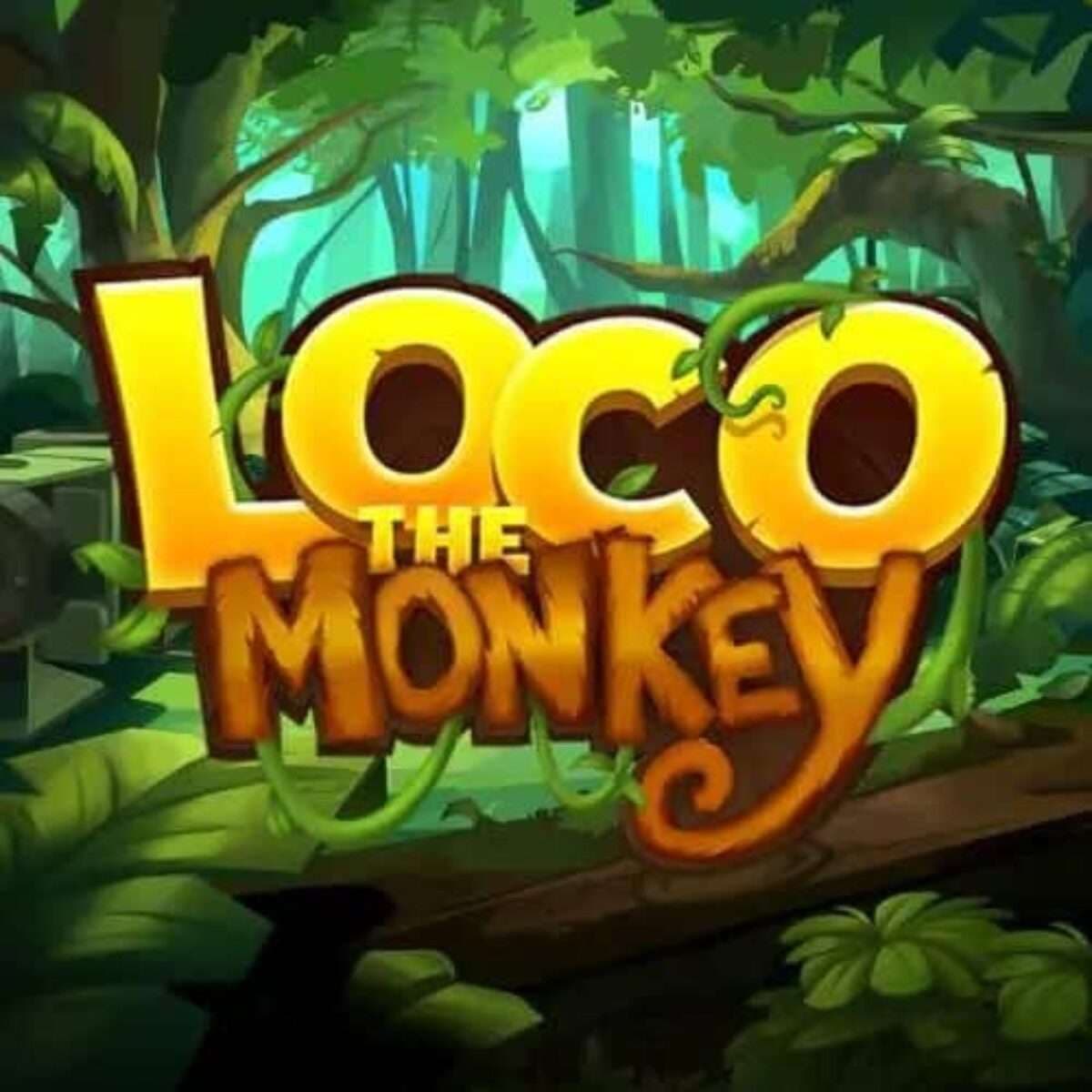 Loco The Monkey