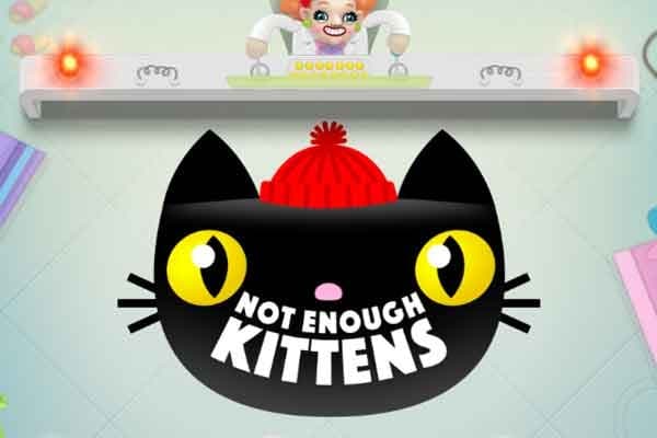 Not Enough Kittens