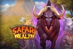 The Safari Of Wealth