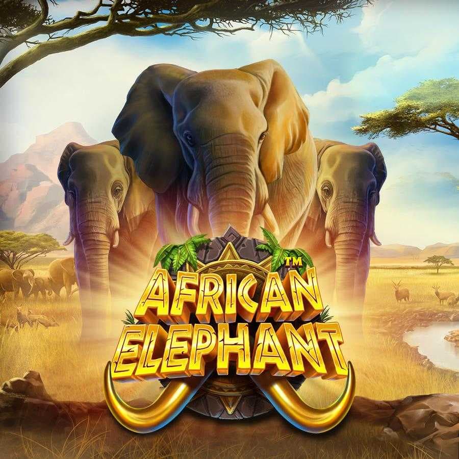 African Elephant™