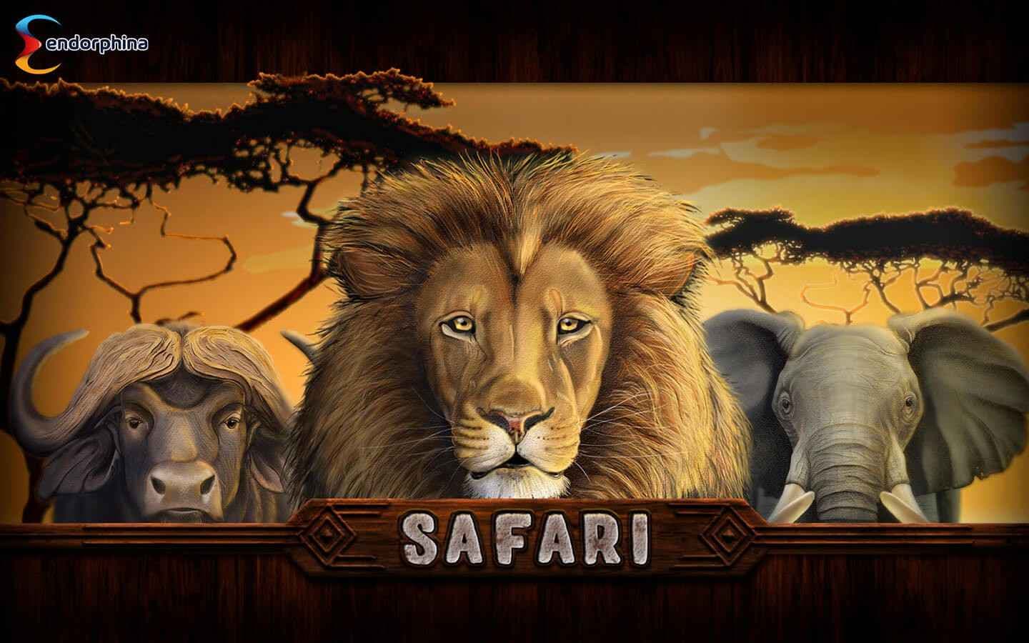 Safari 