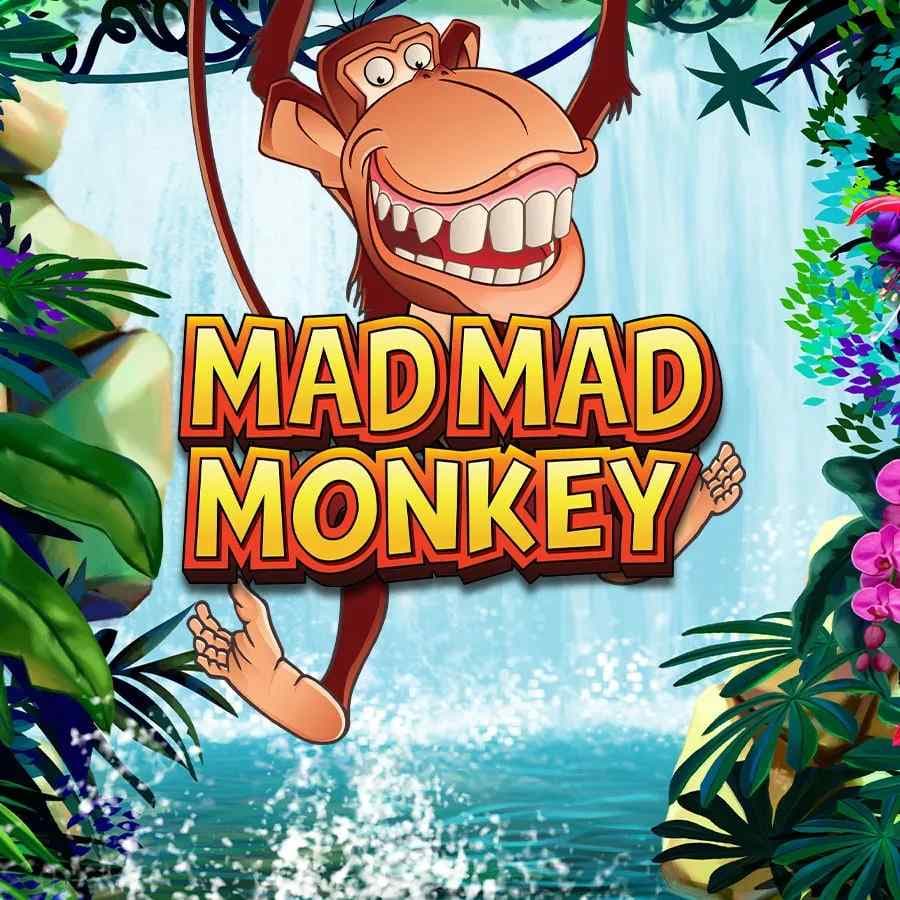 Mad Mad Monkey