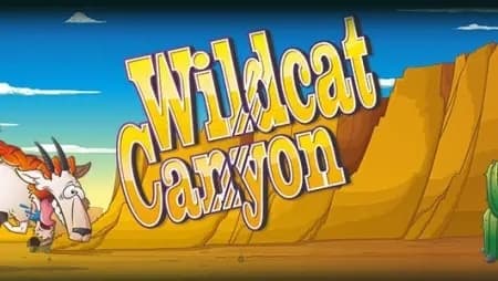 Wildcat Canyon Dice