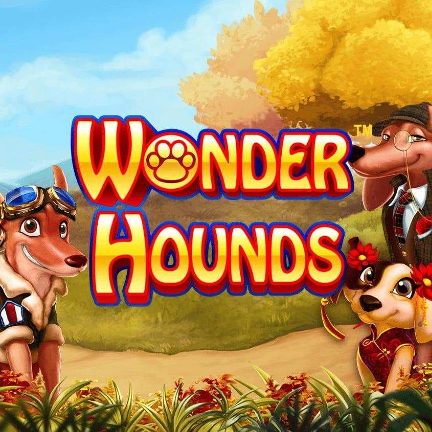 Wonder Hounds