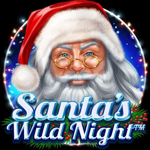 Santa’s Wild Night