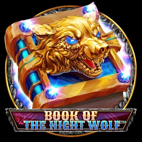 Book Of The Night Wolf 