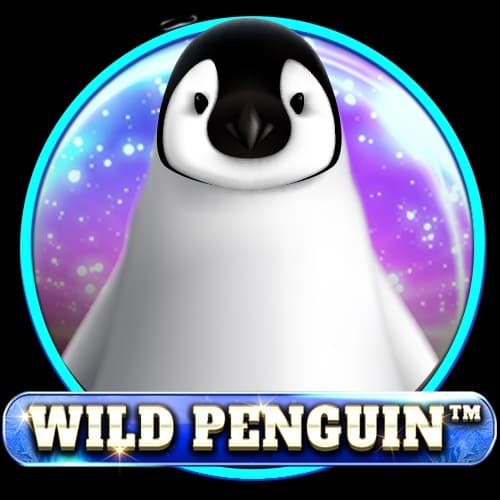 Wild Penguin