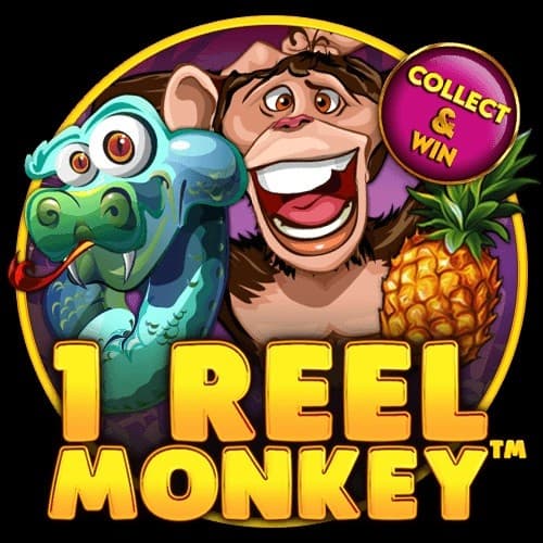 1 Reel Monkey