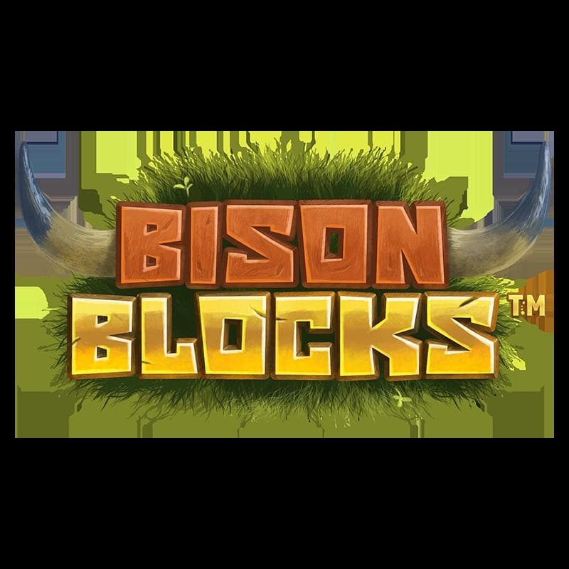 BISON BLOCKS