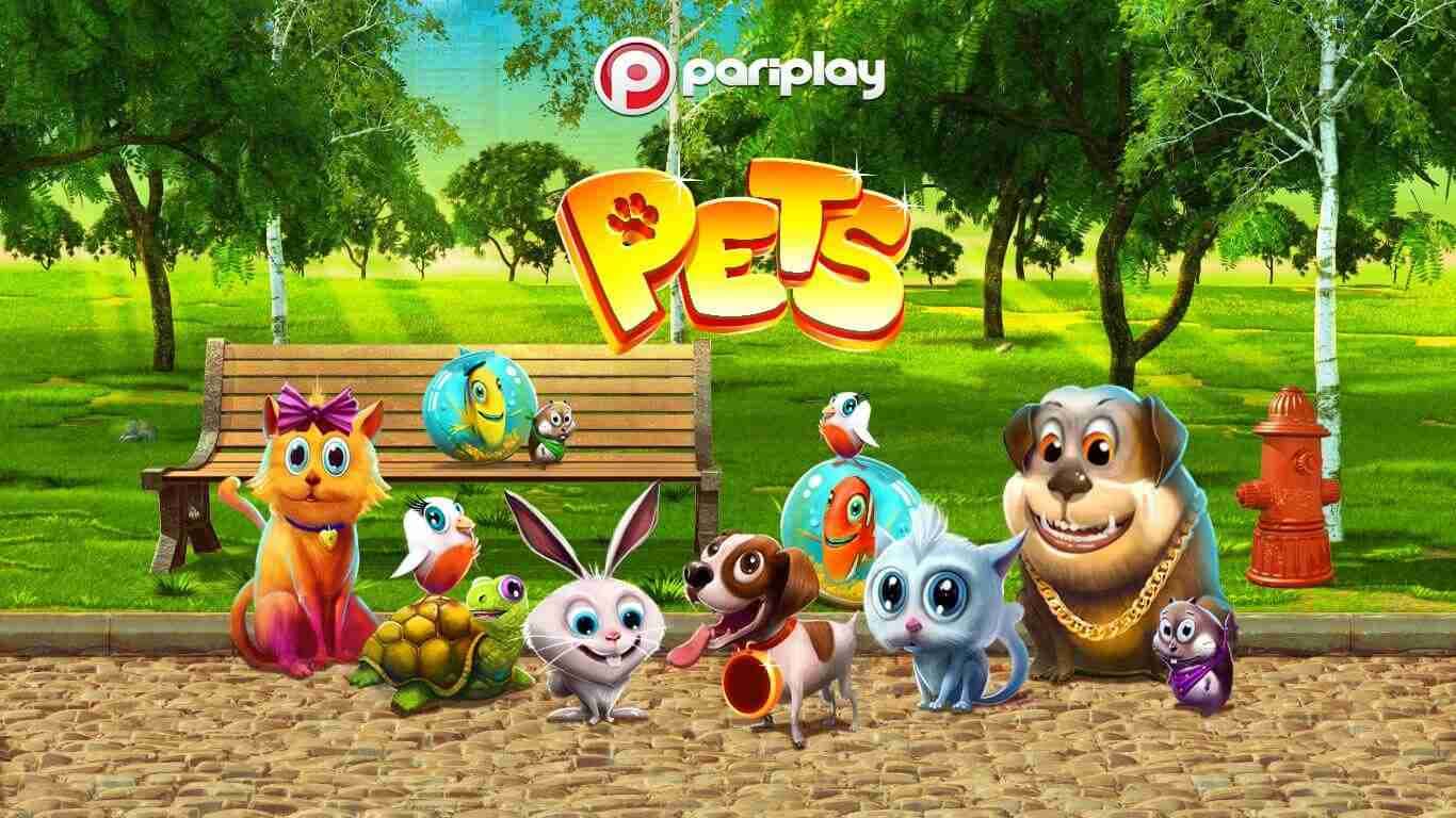 Pets