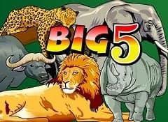 Big 5