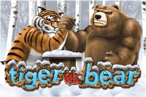Tiger vs Bear