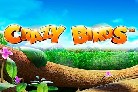 Crazy Birds™