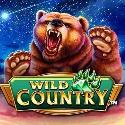 Wild Country™