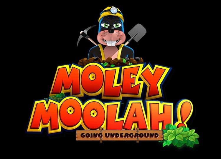 Moley Moolah!
