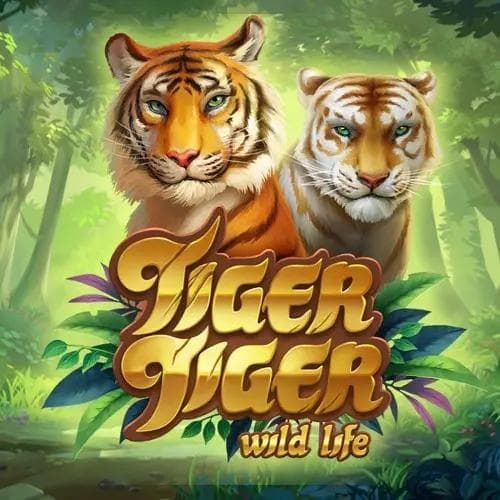 Tiger Tiger Wild Life