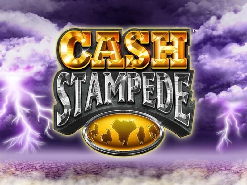 Cash Stampede Dice