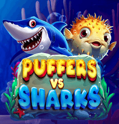 Puffers Vs Sharks