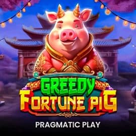 Greedy Fortune Pig