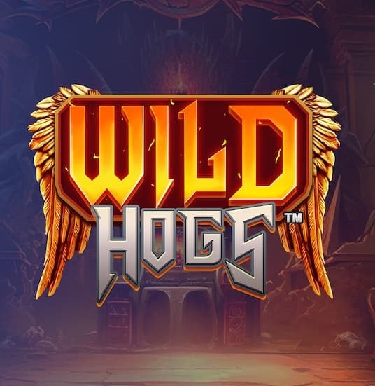 Wild Hogs™
