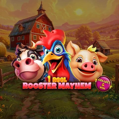 1 Reel – Rooster Mayhem