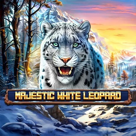 Majestic White Leopard